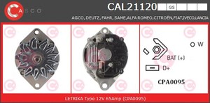 Фото Генератор CASCO CAL21120GS