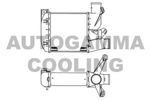 Фото Інтеркулер AUTOGAMMA 102024