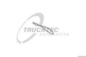 Фото Прокладка, заднее стекло Trucktec 02.50.003